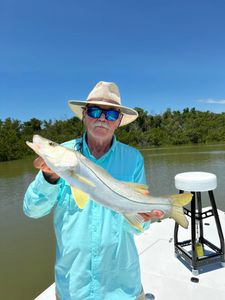 Reeled in Snook in Florida